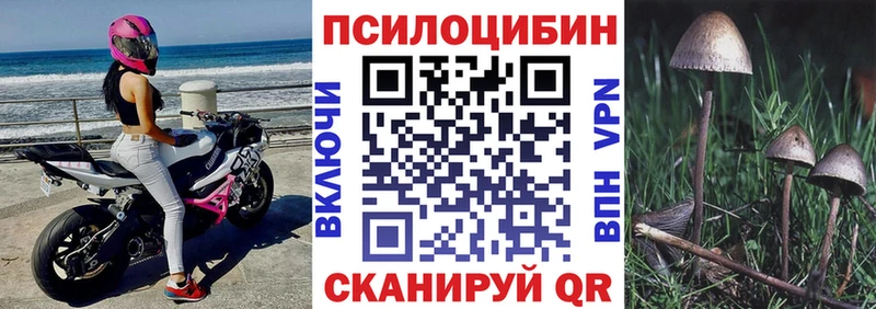 Псилоцибиновые грибы прущие грибы  кракен как зайти  Валуйки  как найти наркотики 