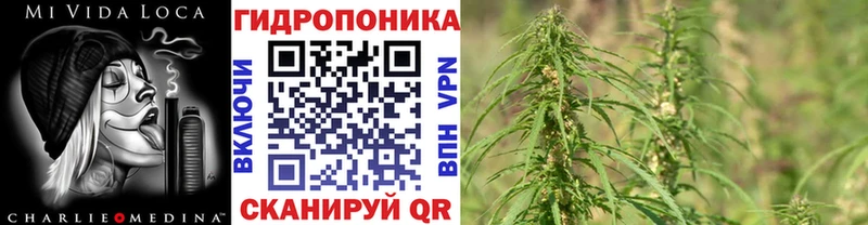где найти   Валуйки  Марихуана семена 